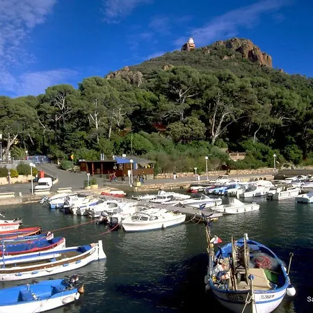 Saint-raphaël, 2 Pièces, 3 Personnes - Fr-1-226a-77 Appartamento *
